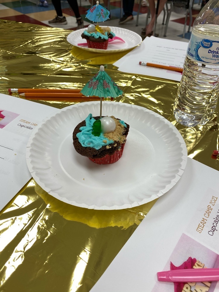 STEAM Camp Cupcake Wars
