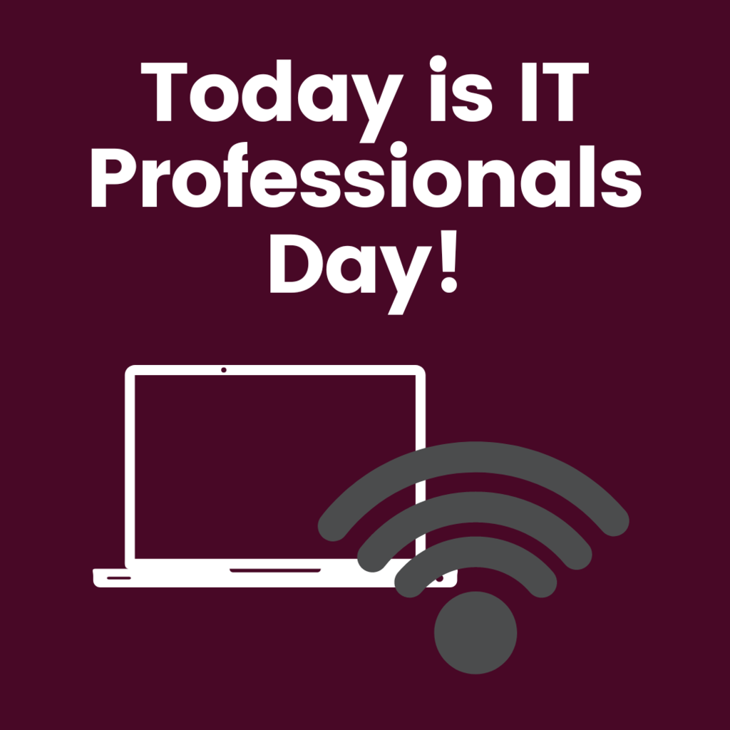 IT Professionals day