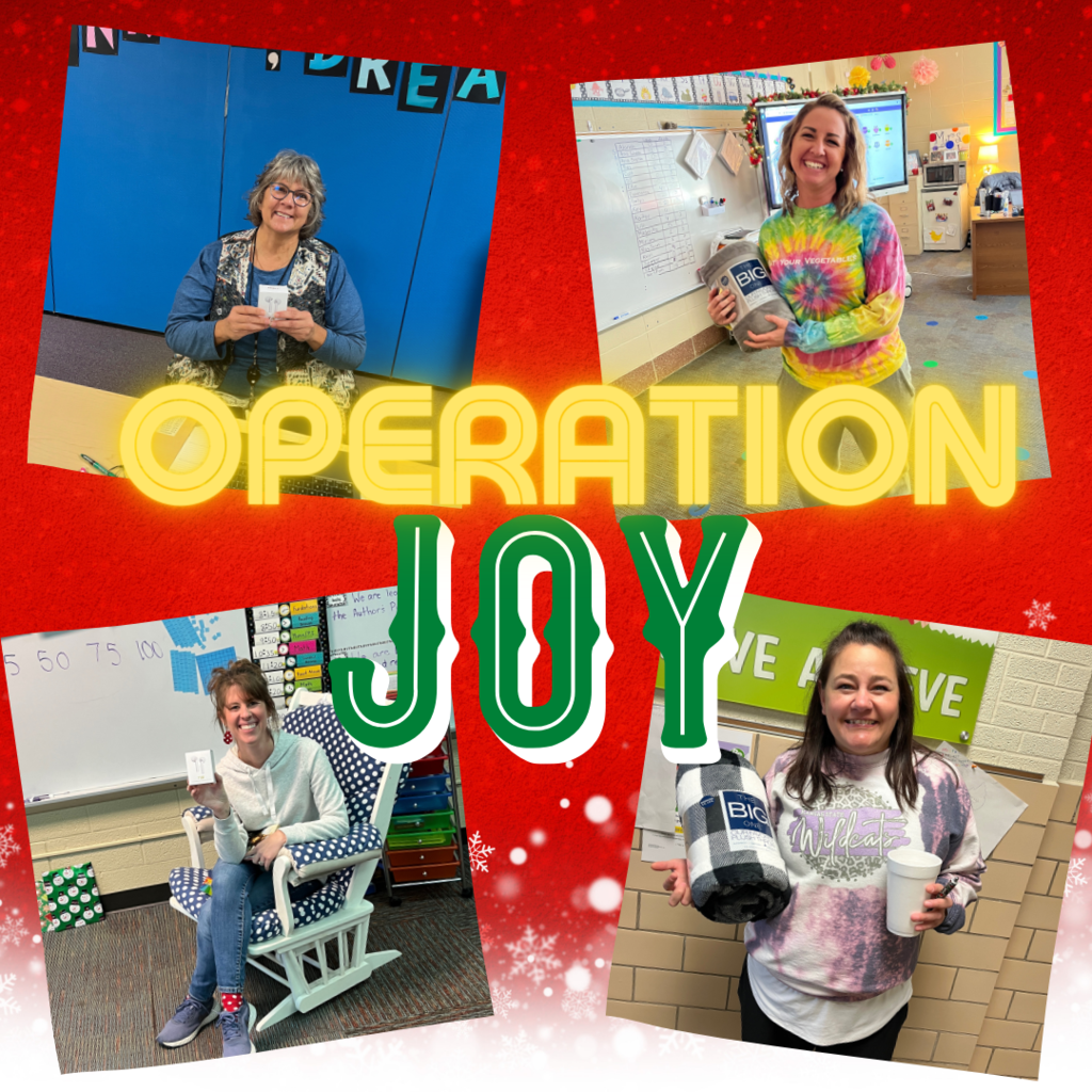 operation joy