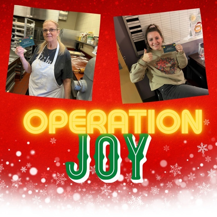 operation joy